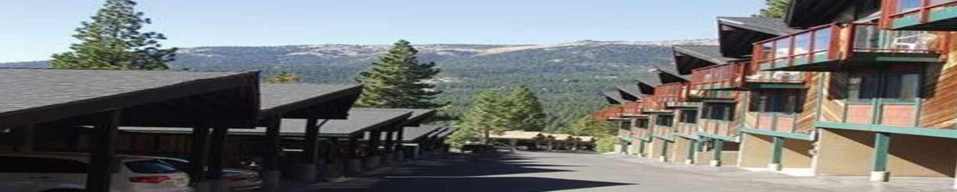 Tahoe Chaparral